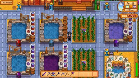 best fish to have in fish pond stardew